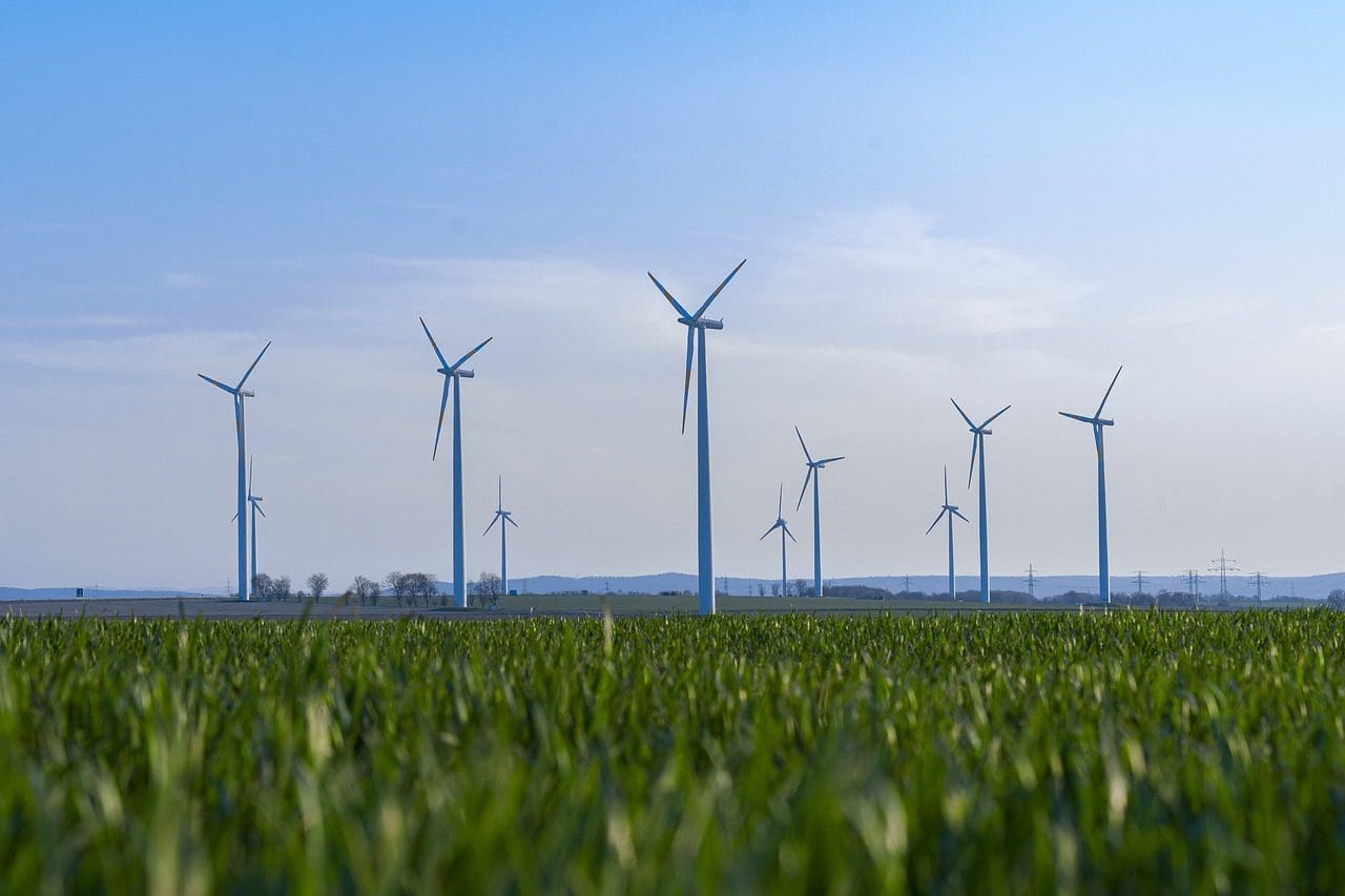 Un champ d'herbe verte luxuriante au premier plan avec plusieurs éoliennes au milieu, sous un ciel bleu clair. L'horizon montre d'autres éoliennes et des collines lointaines.